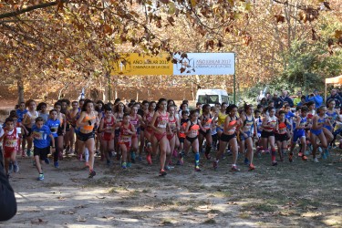 Entrenamiento de atletismo: Resistencia en categorías menores, 2